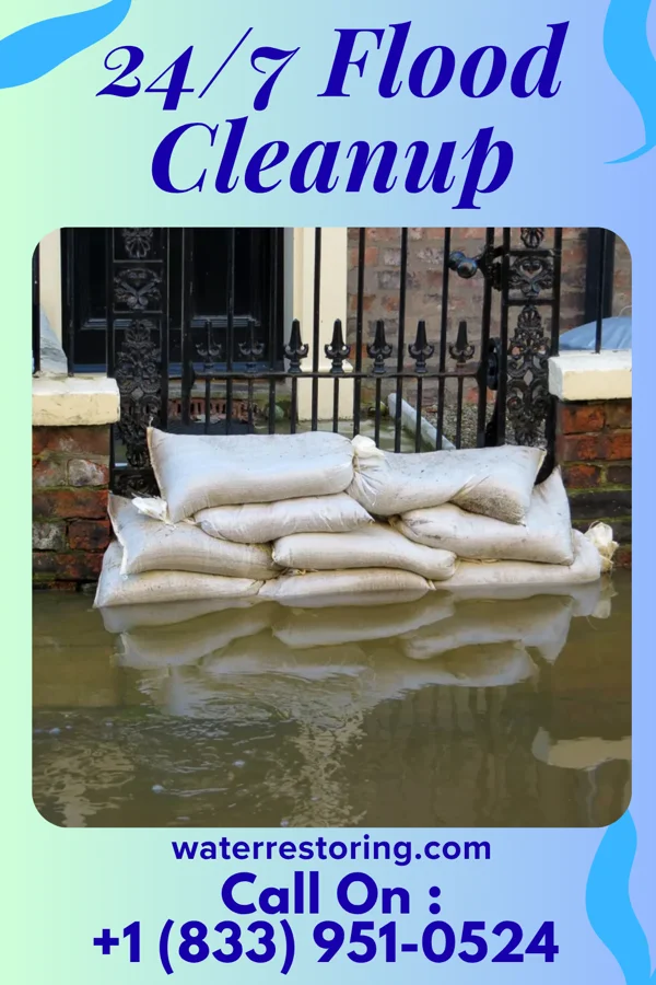 24/7 Flood Cleanup in Mount Calm, TX
