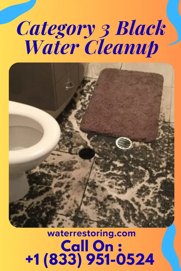 Category 3 Black Water Cleanup in Mount Calm, TX