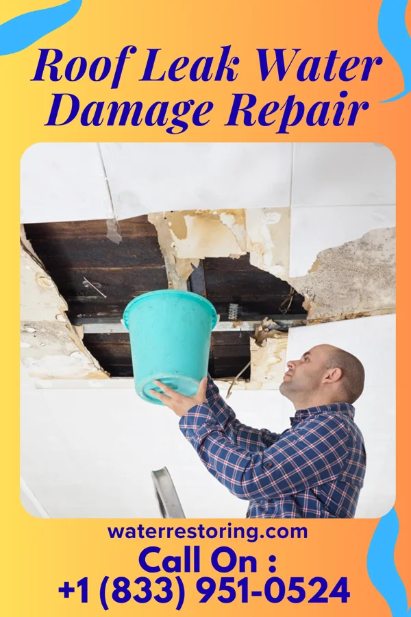Roof Leak Water Damage Repair in Mount Calm, TX
