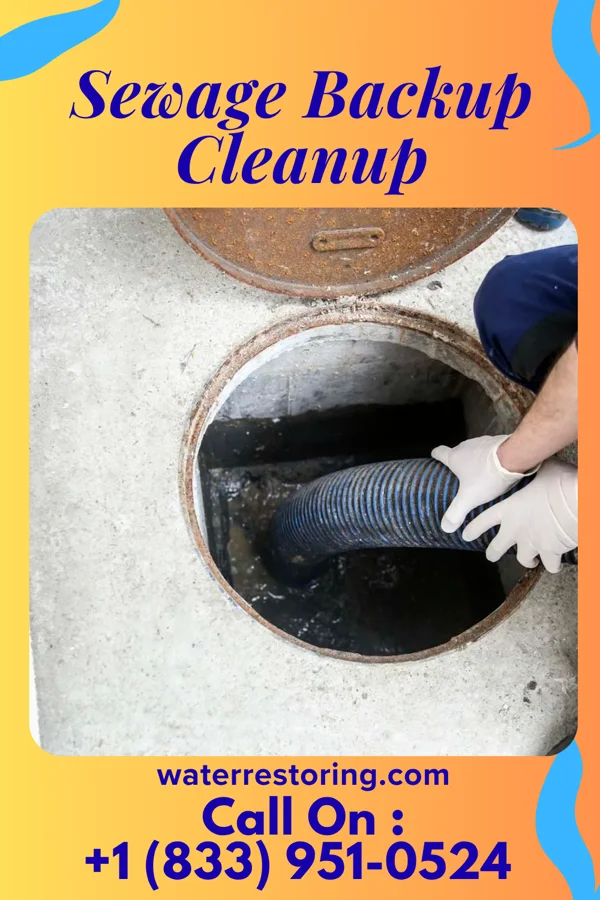 Sewage Backup Cleanup in Mount Calm, TX